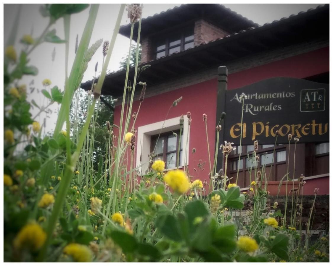 Apartamentos El Picoretu コン エクステリア 写真